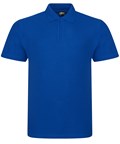 RTX Unisex Polo Shirt ROYAL - Peter Symonds - T LEVEL EDUCATION AND EARLY YEARS