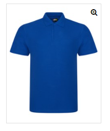 RTX Unisex Royal Blue Polo Shirt - Peter Symonds